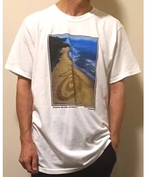 STUSSY | Tシャツ/カットソー
