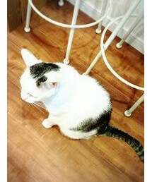 maro＊ | 今日はボアボアしてる…笑(○´艸`)プッ(福袋/福箱)