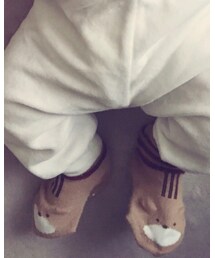 Birthday | ソックス/靴下