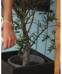 Ron Herman | かごバッグ