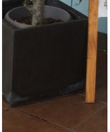 STUNNING LURE | サンダル