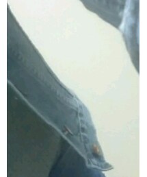 JEANASIS | Tシャツ/カットソー