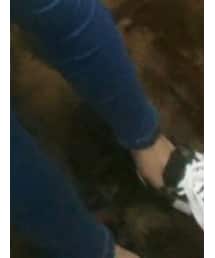 Bershka | スニーカー