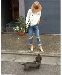 ZARA | Tシャツ/カットソー