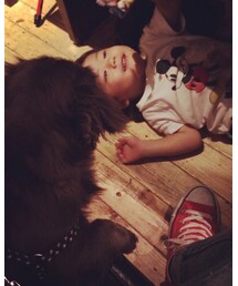 CONVERSE | どっちが犬やねん😂(スニーカー)