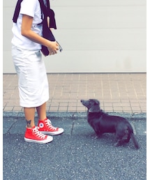 CONVERSE | 連れてけないの…(スニーカー)