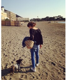 kochi🐾 | お散歩(その他)