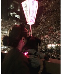 お散歩🐾 | その他