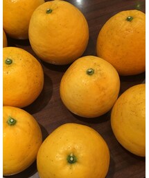 熊本産 | たくさんありがとう😭💕大好き熊本✨✨✨(その他)