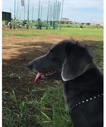 kochi🐾 | その他