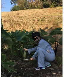 里芋ほり | その他