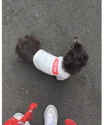 TODAYFUL | Tシャツ/カットソー