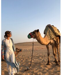 🏜🌵🐫 | その他