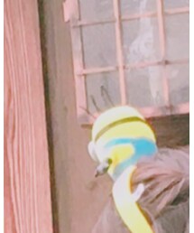 ミニオン♡ | 雑貨/ホビー