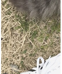 Levi's | デニムジャケット