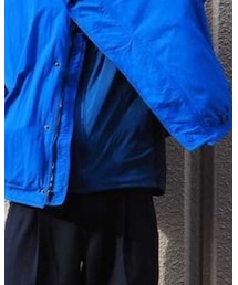 ARC'TERYX | ベスト