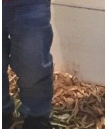 H&M | デニムパンツ