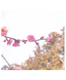 春の訪れ | その他