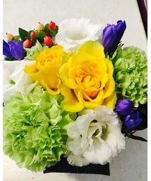 アレンジメント | その他