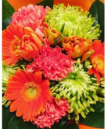 🍊✖️🍏 | その他