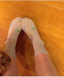 靴下屋 | 恐竜くつした(ソックス/靴下)