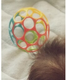 O'ball | おもちゃ