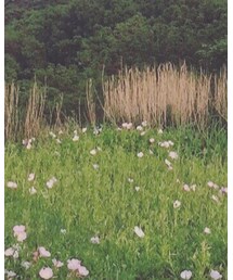 Unnown | スニーカー