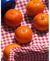 橘子🍊 | ラッピングキット