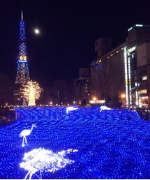 札幌ホワイトイルミネーション | 札幌ホワイトイルミネーション(その他)