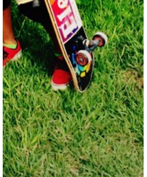 DC SHOES | スニーカー