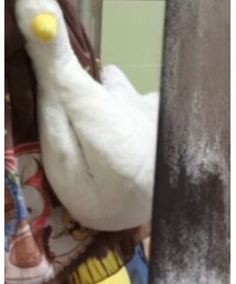 歪瓜 | ショルダーバッグ