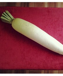 立派な大根 | 立派な大根(クラッチバッグ)