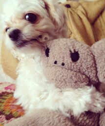 my familia | 癒し(その他)