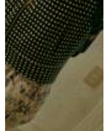 Jungle Fever | パンツ