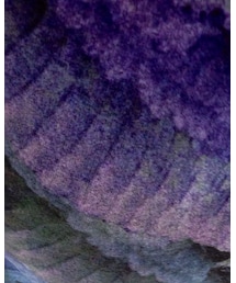 JUVENILE HALL ROLLCALL | Tシャツ/カットソー