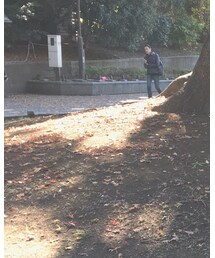 X-girl | Tシャツ/カットソー