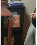 くぱぁの「ビューティーグッズ(手鏡/メイクミラー)」