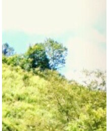 山散歩 | その他