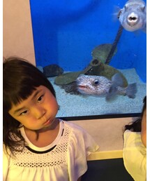 フグのマネ | その他