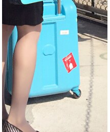 delsey | スーツケース/キャリーバッグ