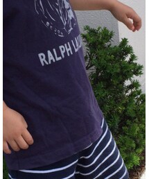 POLO RALPH LAUREN | Tシャツ/カットソー