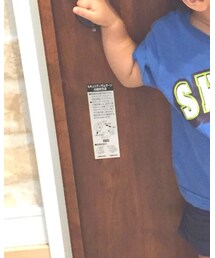 SHIPS KIDS | Tシャツ/カットソー