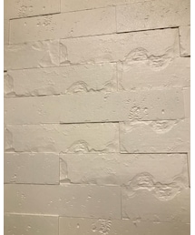 DHOLIC | Tシャツ/カットソー