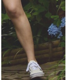 vanz | スニーカー