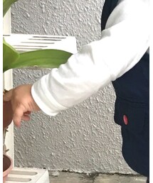 UNIQLO | Tシャツ/カットソー