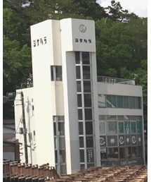 BJ Classic Collection | メガネ