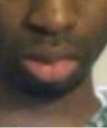 BURT'S BEES | 口紅/リップティント/グロス