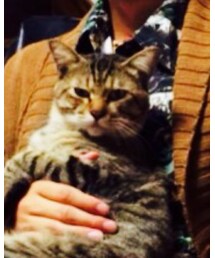 愛猫 ポンタゴン | その他