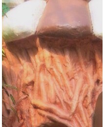 沖縄 | トップス