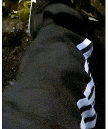 adidas | その他パンツ